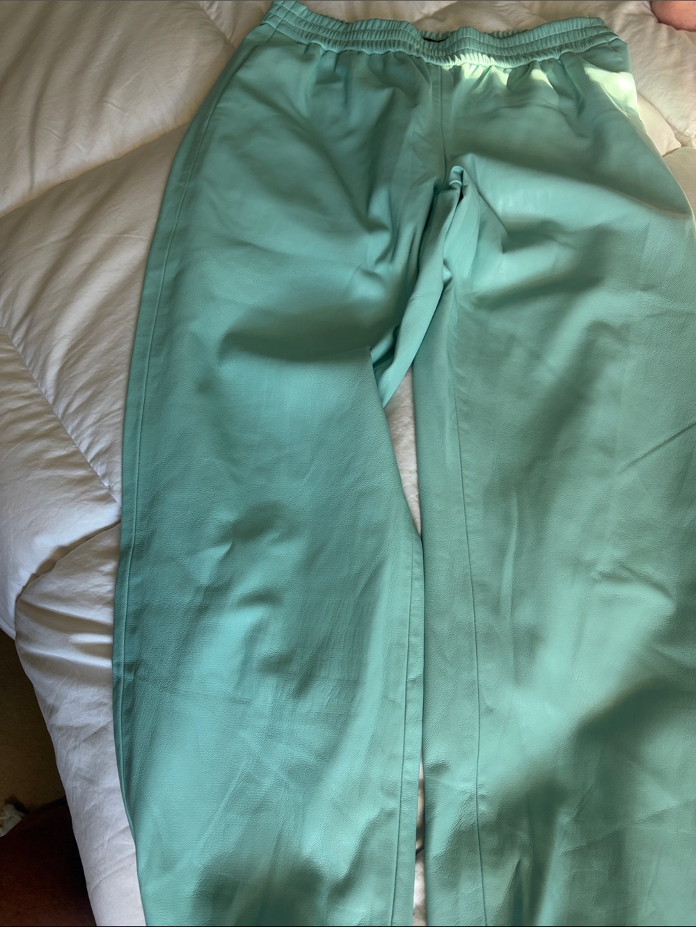 Alice + Olivia Mint Green Wide-Leg Pants